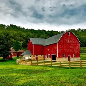 FARM ANIMALS