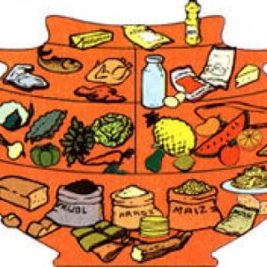 Olla Nutricional