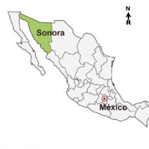 Especies endémicas de Sonora.