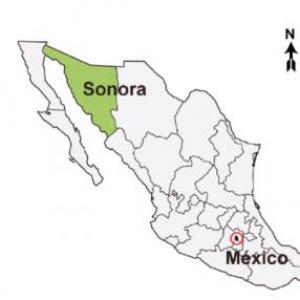 Especies endémicas de Sonora.