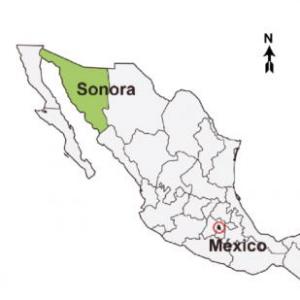 Especies endémicas de Sonora.