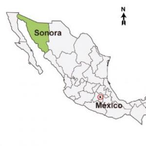 Especies endémicas de Sonora.