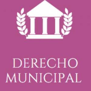 Maratón Municipal