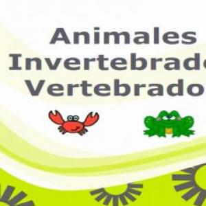ANIMALES INVERTEBRADOS