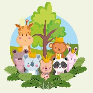 Flora y Fauna