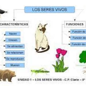 Los seres vivos