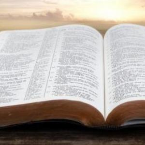 Libros de la Biblia
