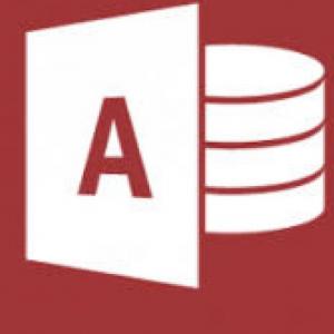 CARACTERISTICAS DE ACCESS