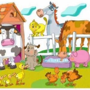 los animales domésticos