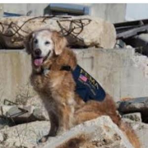 Past Perfect Continues rescue sentences