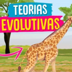 TEORÍAS EVOLUTIVAS