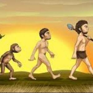 EVOLUCIÓN