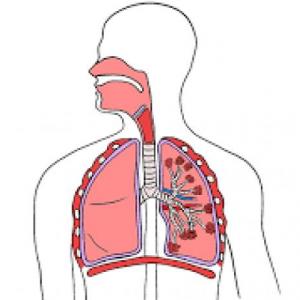 APARATO RESPIRATORIO.