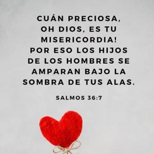 Los milagros de Jesús