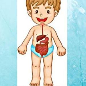 La alimentación como parte de la nutrición
