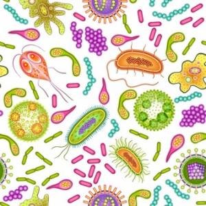 ¿Cuanto pudiste aprender de la células?