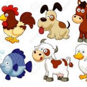 ADIVINA MIS ANIMALITOS