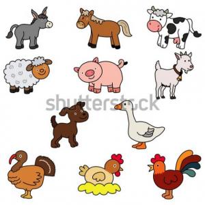 Animales
