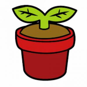 DESCUBIENDO COMO PLANTAR