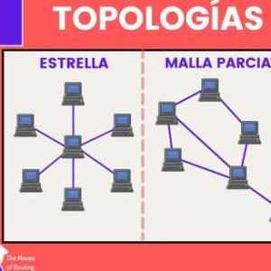 TIPOS DE TIPOLOGIAS VIVIAN ROJAS Y LEONELIS VARGAS