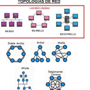 tipos de tipologias vivian rojas y leonelis vargas