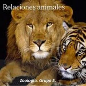 TEST SOBRE RELACIONES ENTRE ANIMALES
