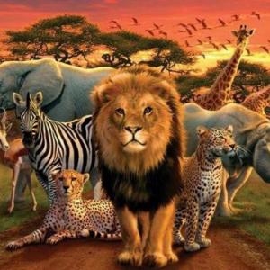 ¿Qué animal es?