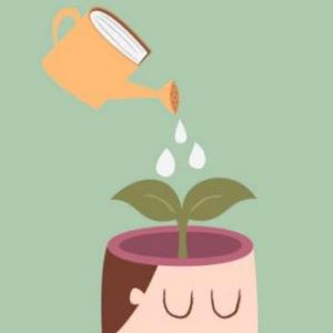 teoría del aprendizaje significativo 