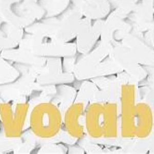 VOCABULARY REVIEW
