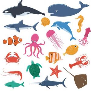 sea animals memory