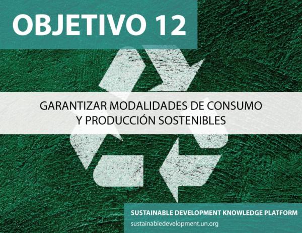 Desarrollo sostenible Objetivo 12