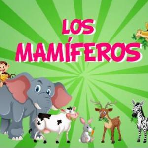 Imagen de portada del videojuego educativo: Animales Mamíferos , de la temática Geografía