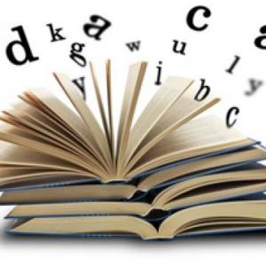 Preguntas gramaticales