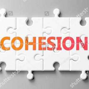 S7 jugando la cohesión