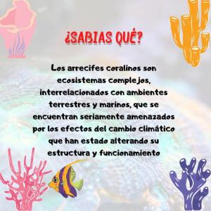 Imagen de portada del videojuego educativo: contaminación marina, de la temática Biología