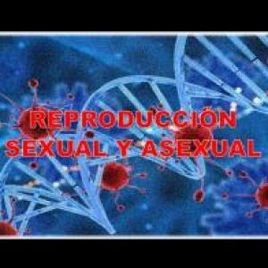 La reproducción sexual y asexual 