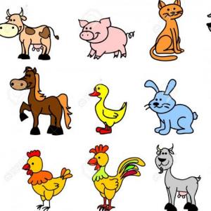 Los animales domésticos