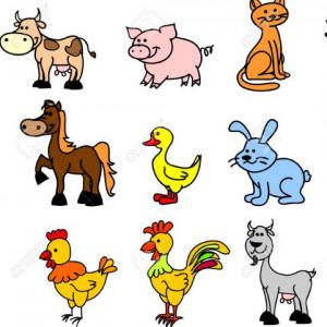 Los animales domésticos