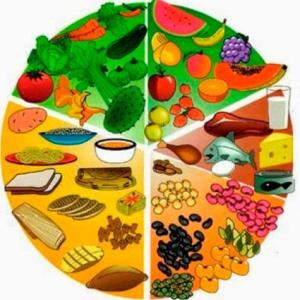 ORIGEN DE LOS ALIMENTOS