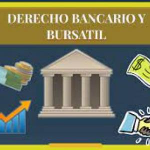 Derecho del Seguro Bancario y Bursátil 