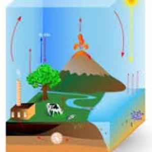 Imagen de portada del videojuego educativo: EXAMEN, de la temática Medio ambiente