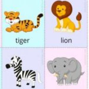 Memo wild animals game