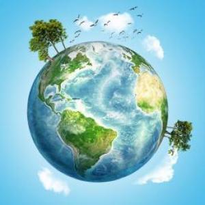 Food and the environment