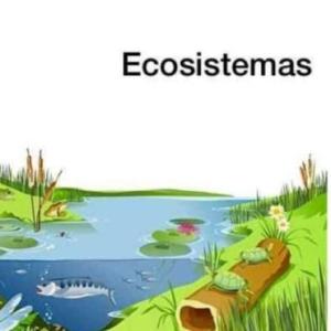 El ecosistema