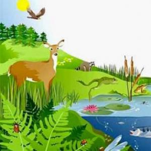 Imagen de portada del videojuego educativo: Ecosistemas , de la temática Biología