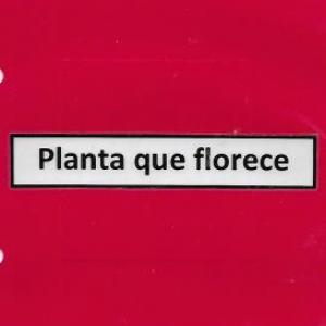 Partes externas de la planta que florece 