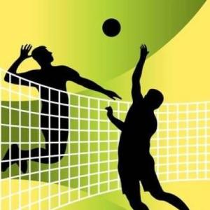 Voleibol en Acción