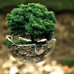 CONSUMO Y MEDIOAMBIENTE