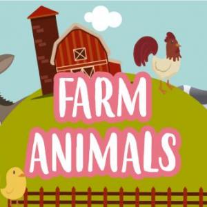 ANIMALS ON THE FARM