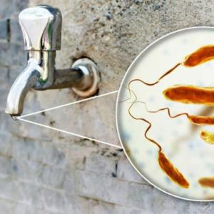 Las enfermedades derivadas del agua contaminada